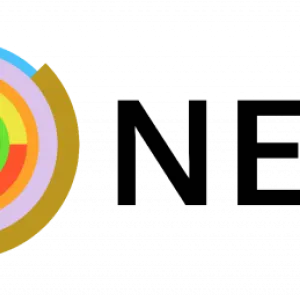 logo_nesi_2021_transparente-640x259.png